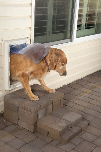 Dog Door Replacement