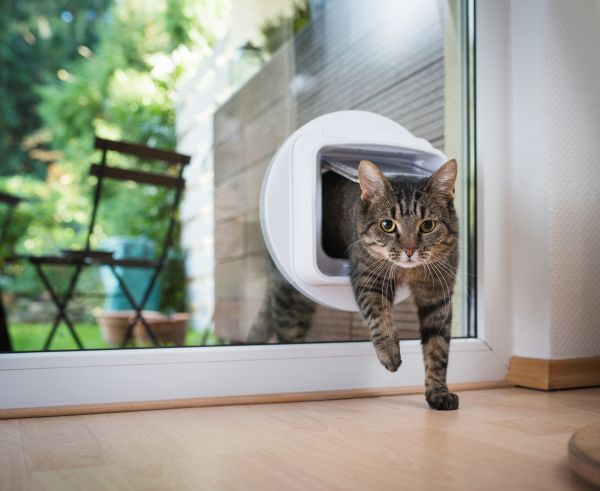 Cat Access Panel Installation