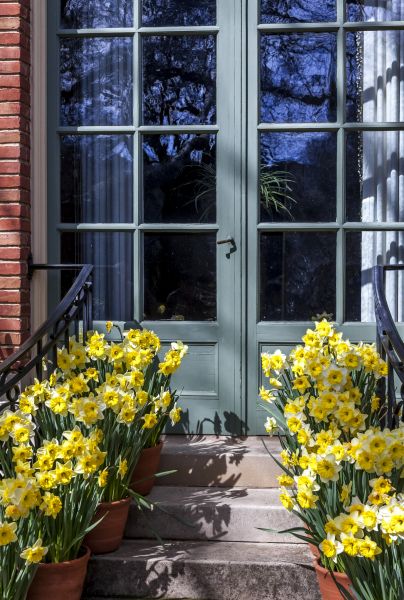 Mirror Door Restoration
