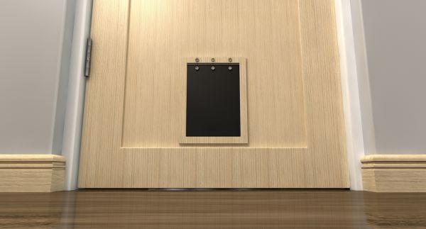 Animal Door Replacement
