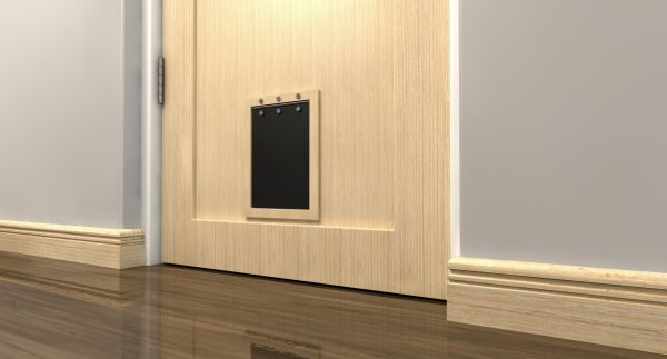 Cat Door Maintenance