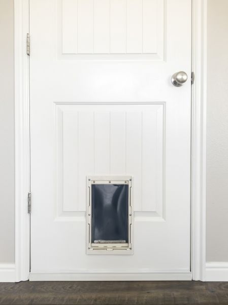 Dog Door Replacement
