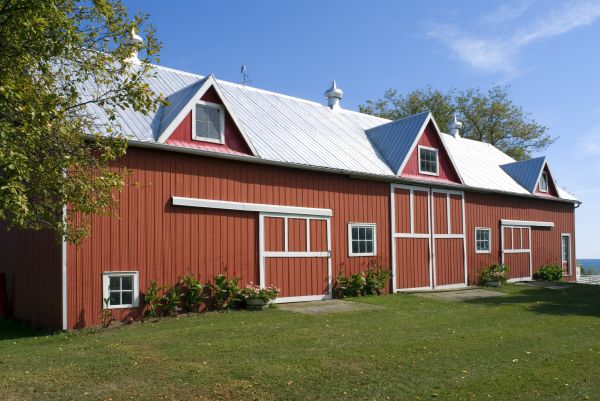 Barn Door Renovation