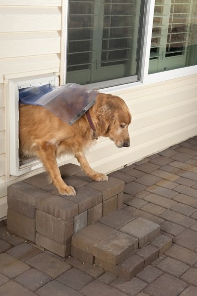 Cat Door Installation