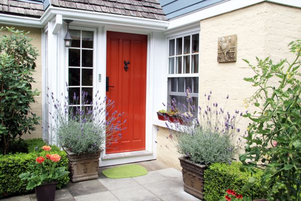Entryway Door Painting